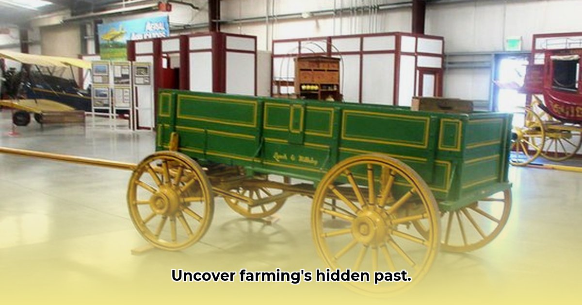 tractor-museum-woodland